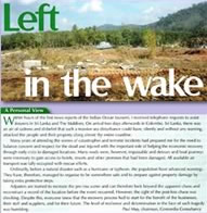 left in the wake image