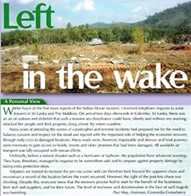 left in the wake image